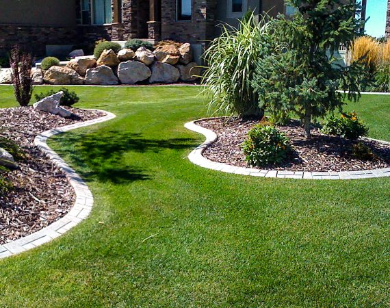 Beautiful concrete decorative edging!