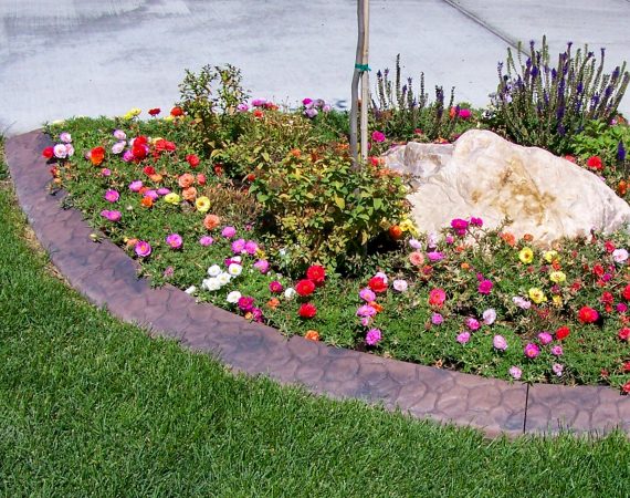 Tri-City Edging Projects-1